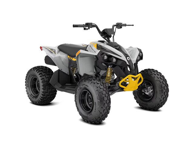 Can-Am Renegade 110 EFI Can-Am Renegade 110 EFI